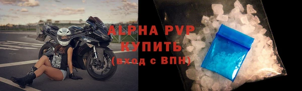 СК Алексин