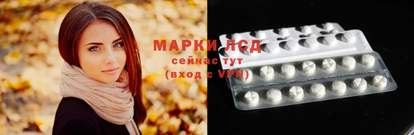 СК Алексин