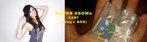 СК Алексин