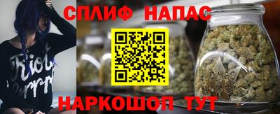 Альфа ПВП Можга