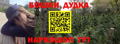 Альфа ПВП Можга