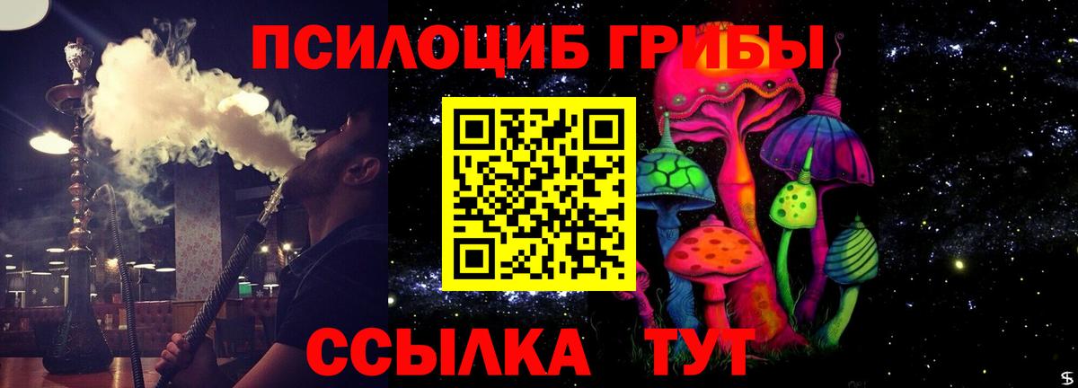 Псилоцибиновые грибы MAGIC MUSHROOMS  Вход с VPN  Благодарный 