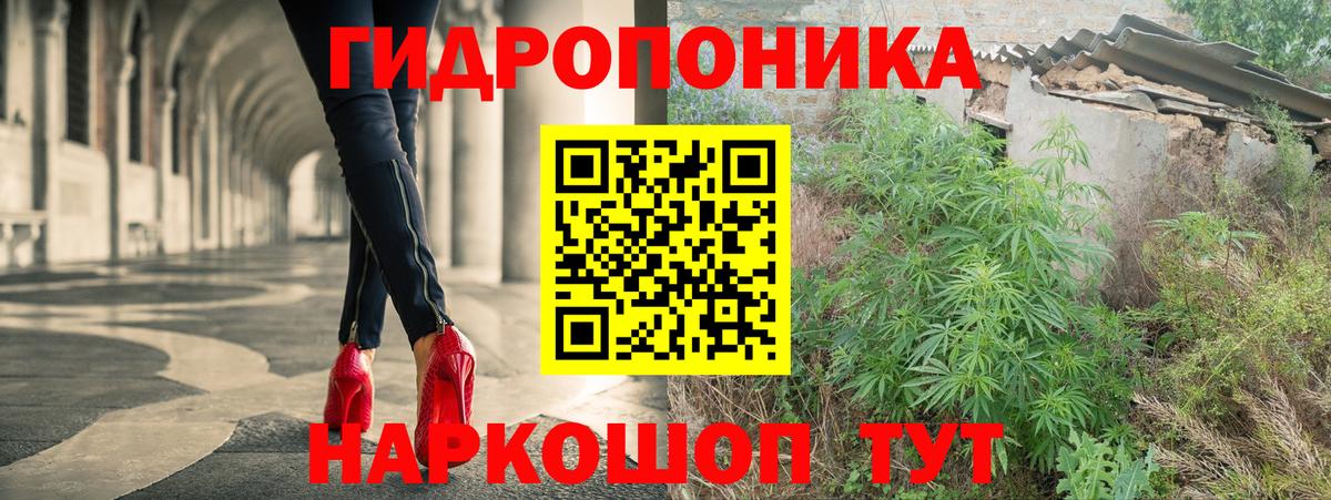 Бошки Шишки планчик Благодарный